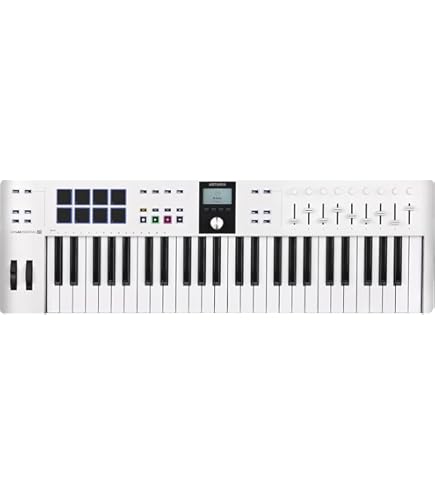 Amazon | コルグ KORG EK-50 Limitless Entertainer Keyboard