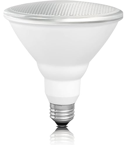 Amazon | パナソニック ハイビーム電球 100ワット形 BF110V80W