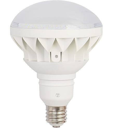 Amazon | 岩崎電気 LDR30N-H-E39/W850(旧形式:LDR33N-H/E39W750