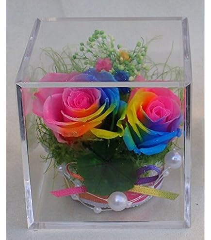 Amazon｜プリザーブドフラワー レインボー ガラスドーム 1個 花