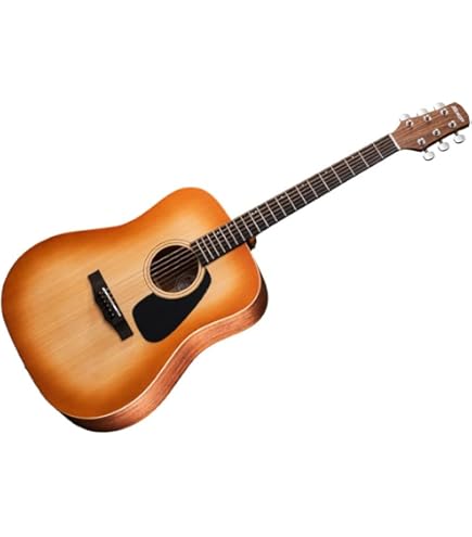 Amazon | MORRIS F-020 TS アコースティックギター | スチール弦