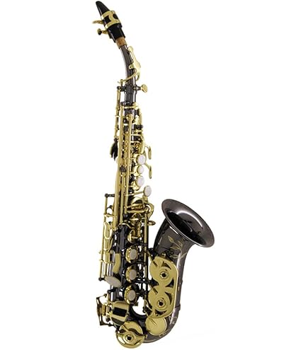 Amazon | 【国内正規品】 PLAYTECH プレイテック カーブドソプラノ