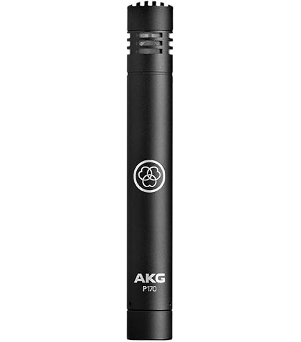 Amazon.co.jp: AKG C451B コンデンサーマイクロフォン : 楽器・音響機器
