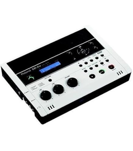 Amazon | Roland SD/CD Recorder CD-2E | ポータブルレコーダー | 楽器