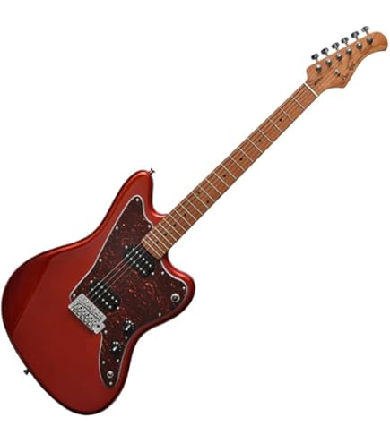 Amazon | Bacchus SGS-ASH RSM エレキギター ストラトキャスタータイプ