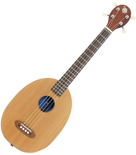 Amazon.co.jp: K.Yairi ベーシック N 一五一会 (Kヤイリ) : 楽器・音響機器