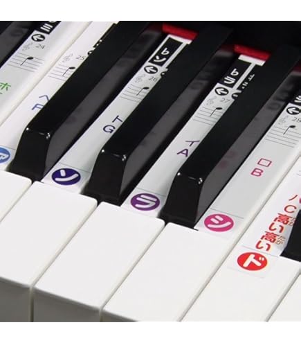 Amazon.co.jp: CASIO LK-330 光ナビゲーションキーボード 61鍵盤