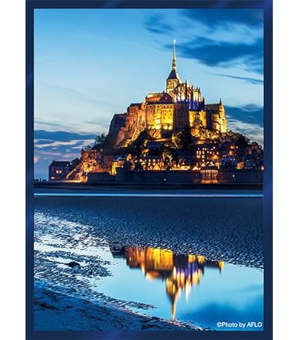 Amazon | ブロッコリーハイブリッドスリーブ 花札「芒に月