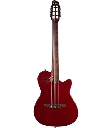 Amazon | GODIN (ゴダン) ナイロンギター エレガットギター Multiac