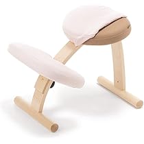 Amazon.co.jp: バランスラボ バランスイージー 通常フレーム 通常箱