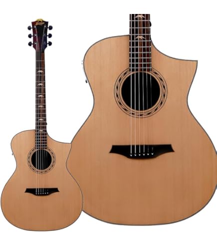 Amazon | Bromo BAT1M ブロモ アコースティックギター トップ単板