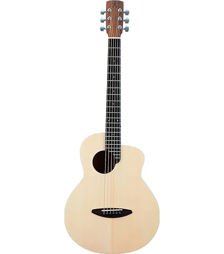 Amazon | アコースティックギター アヌエヌエ バードギター aNueNue