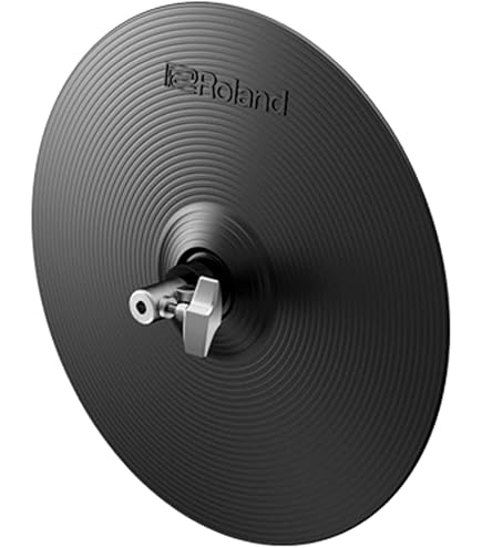 Amazon.co.jp: Roland ローランド Vシンバル/クラッシュ CY-14C-T 14