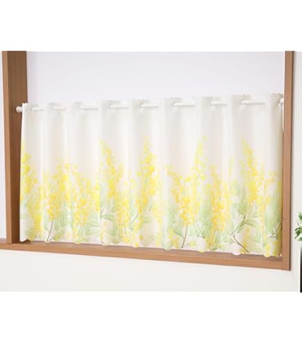 Amazon｜ダッフィー＆フレンズ ビューティフル・レイニーデイズ