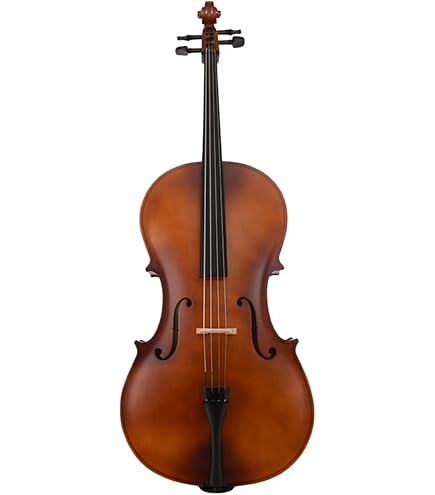 Amazon | SUZUKI No.72 4/4 チェロ (スズキ) | チェロ | 楽器・音響機器