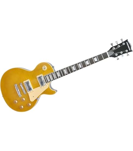 Amazon | PLAYTECH (プレイテック) エレキギター レスポールタイプ 2