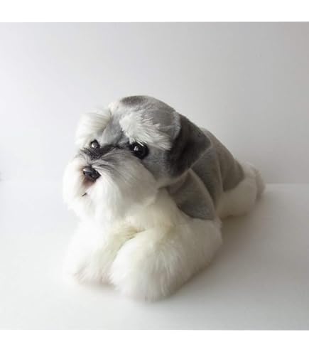 Amazon.co.jp: ぬ それは、眉毛の太い犬 ましゅもっち ぬいぐるみ ひろ