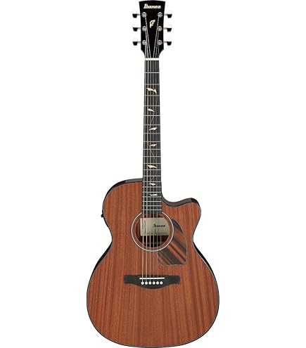 Amazon | アイバニーズ Ibanez PF12MHCE エレアコ アコギ シールド