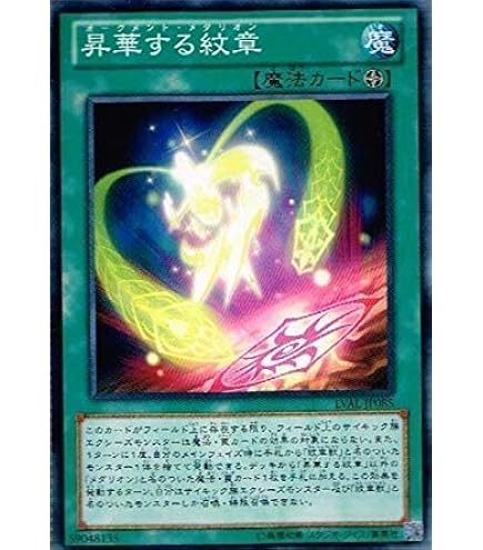 Amazon.co.jp: 遊戯王5D's デュエリストカードキャリングケース 竜の