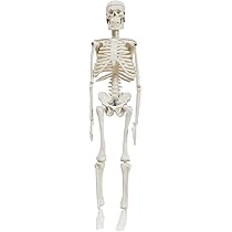 51rxMp45lbL._AC_UL210_SR210,