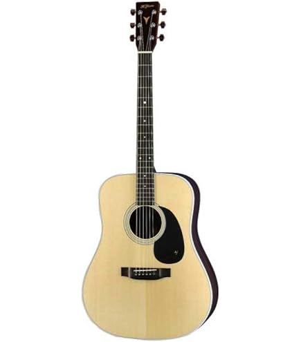 Amazon.co.jp: K.YAIRI DY-28 Kヤイリ Standard Series オール単板