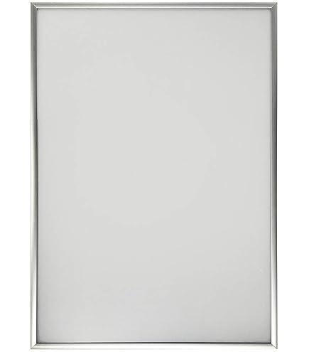 Amazon.co.jp: アボガド6 複製原画 額装ポスター 直筆サイン入り