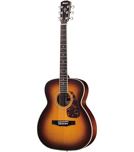 Amazon | Morris (モーリス) アコースティックギター F-LTDII NAT 日本