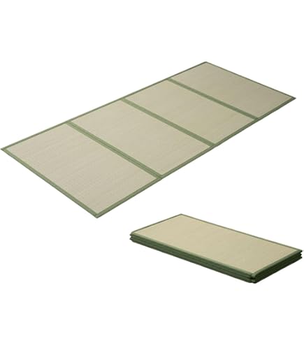 Amazon.co.jp: 大建工業 ここち和座 置き敷きタイプ 彩園03アイボリー