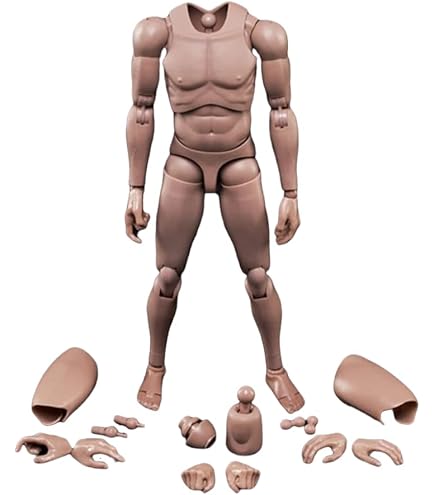 Amazon | 1/6 フィギュア 男性 素体 | フィギュア・ドール 通販