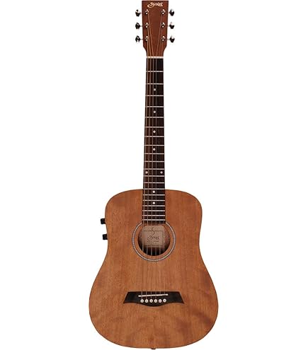 Amazon | HONEY BEE ハニービー アコースティックギター エレアコ F