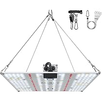 612qx-BsG0L._AC_UL210_SR210,