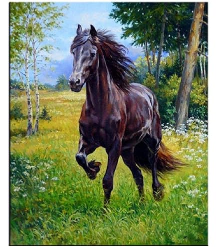 Amazon | 第38回 G1 有馬記念 優勝 トウカイテイオー TOKAI TEIO 競馬