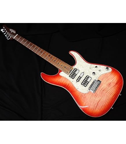 Amazon | Schecter シェクター C-1 Hellraiser FR with Floyd Rose