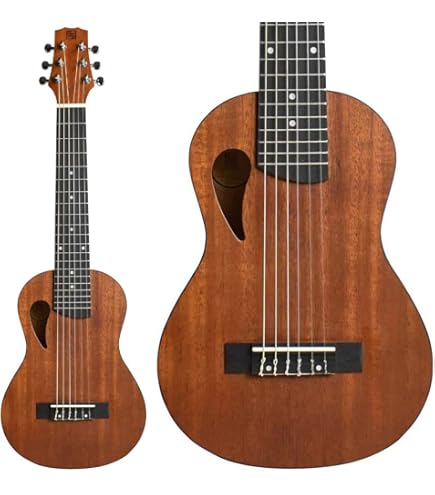 Amazon | 音音 DT1M NTM (ナチュラルマホガニー) ミニアコースティック