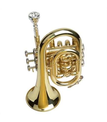 Amazon | 【ヤマハお手入れセット付】YAMAHA ヤマハ YCR-2330III