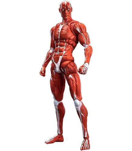 Amazon.co.jp: 1000TOYS 千値練 東亜重工製 第三次生産 合成人間 1/12