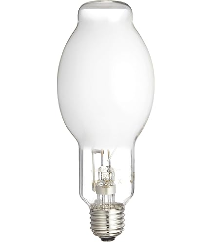 Amazon.co.jp: 東芝 透明水銀ランプ 透明形40W H40 : Home & Kitchen