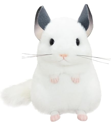 Amazon.co.jp: POP UP SHOP限定☆すみっコぐらしコレクション 「よう