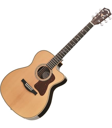 Amazon.co.jp: Headway HEC-45 CS チェリーサンバースト カッタウェイ