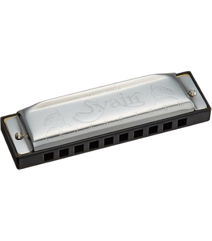 Amazon | Seydel サイドル ハーモニカ ブルース 10穴 1847 NOBLE C