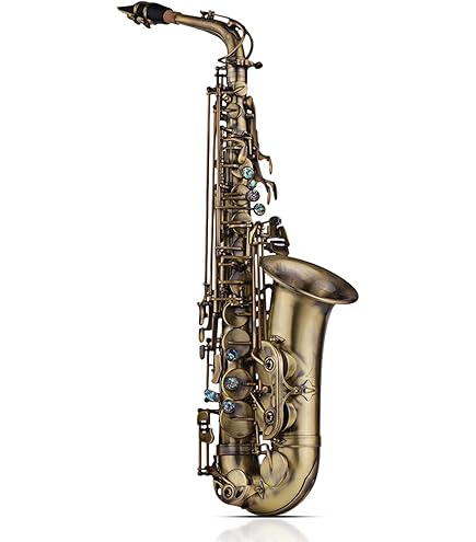 Amazon | PLAYTECH (プレイテック) カーブドソプラノサックス