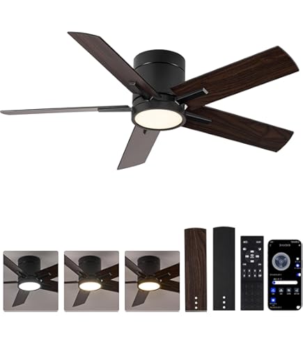 Amazon.co.jp : 【節電-5年保証】TALOYA シーリングファンライト 10畳