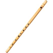 61SkRoJYI1L._AC_UL210_SR210,