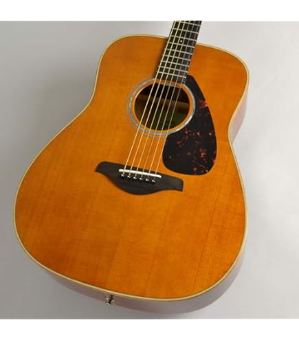 Amazon | YAMAHA / FGX3 ビンテージナチュラル（VN) ヤマハ アコギ