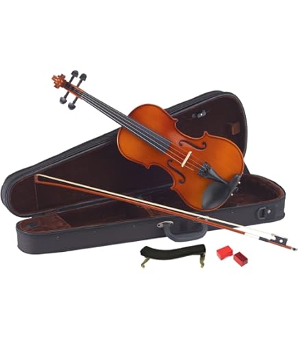 Amazon | Nicolo Santi NSN50/S1 4/4 バイオリンセット 4/4 Cuore
