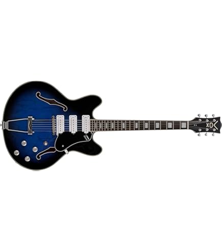 Amazon | VOX ヴォックス エレクトリック・セミホロー・ギター