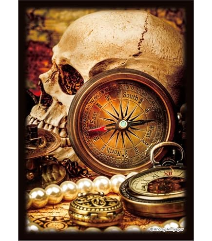 Amazon.co.jp: ブロッコリーハイブリッドスリーブ 花札「芒に月