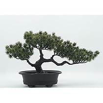 Amazon｜SELECOCO フェイクグリーン フェイク盆栽 人工観葉植物 盆栽