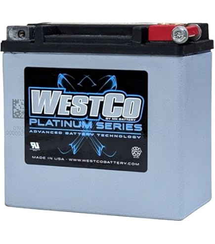 Amazon | デイトナ ハイパフォーマンス バッテリー DYTX20HL-BS