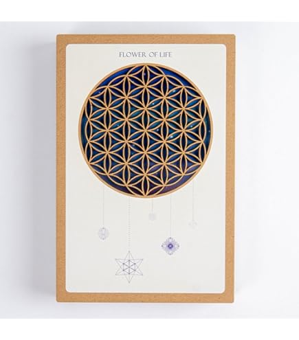 Amazon.co.jp: 埼玉県 川口 鎮守氷川神社 御朱印帳 横尾忠則 デザイン